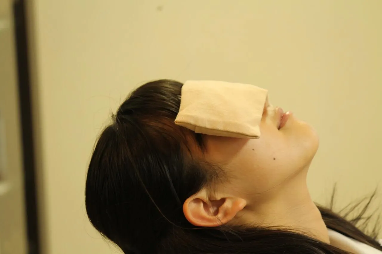 繰り返し使える!目元・身体をじんわり温める★nukumori アイピロー BIWA