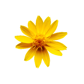 元気になりたい