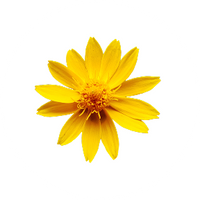 元気になりたい