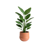 インテリア・置物