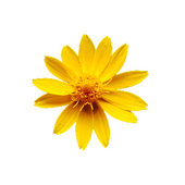 元気になりたい